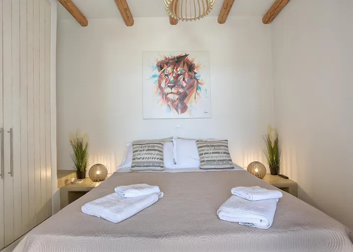 Punda Paros Villa Piso Livadi