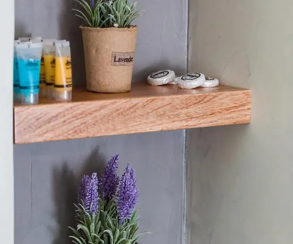 Punda Paros Villa Piso Livadi