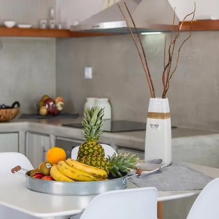 Punda Paros Villa *