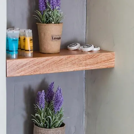 Punda Paros Villa Piso Livadi